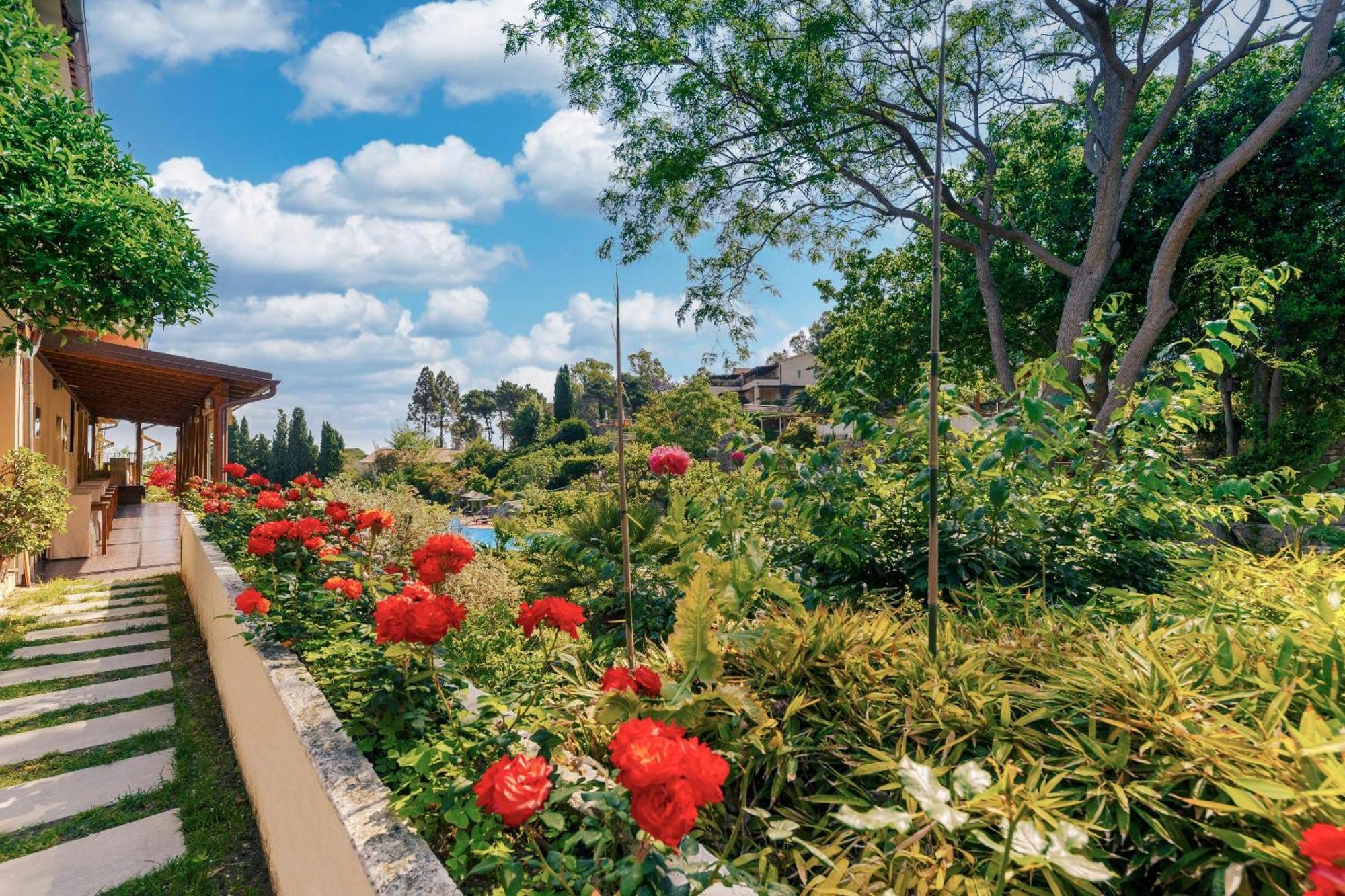 Hotel Cernia Isola Botanica Сант-Андреа Экстерьер фото