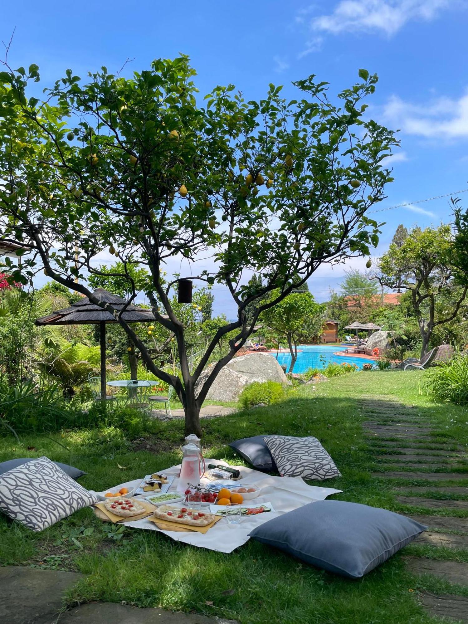 Hotel Cernia Isola Botanica Сант-Андреа Экстерьер фото